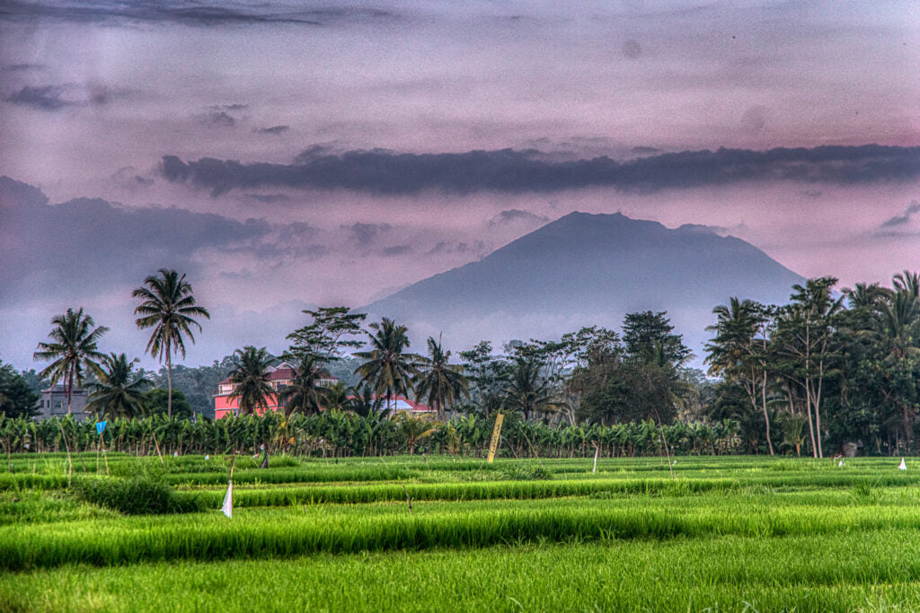 Urban Legend of Bali