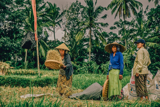 The Balinese woman “wanita” and her great capacity of reinvention