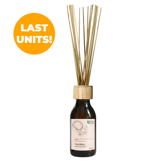 Fine Mist Of Bali Room Diffuser